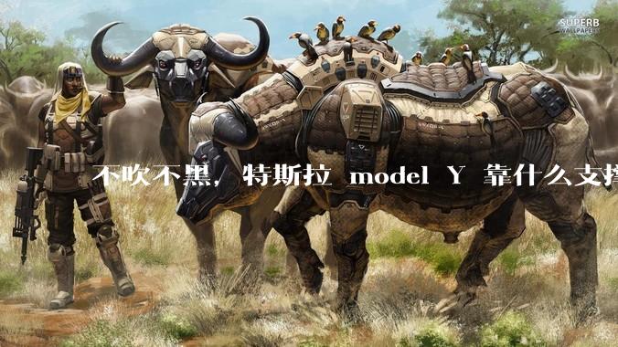 不吹不黑，特斯拉 model Y 靠什么支撑他的销量？