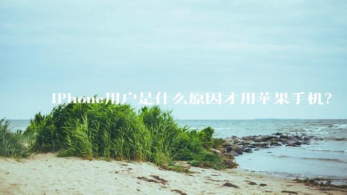 iPhone用户是什么原因才用苹果手机？