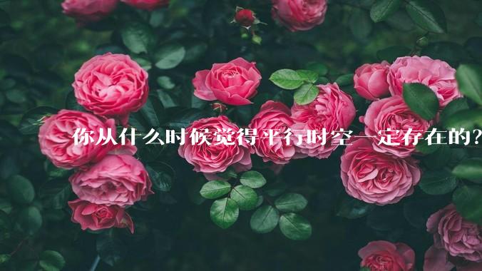 你从什么时候觉得平行时空一定存在的？