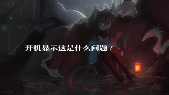 开机显示这是什么问题?