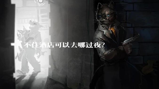 不住酒店可以去哪过夜？