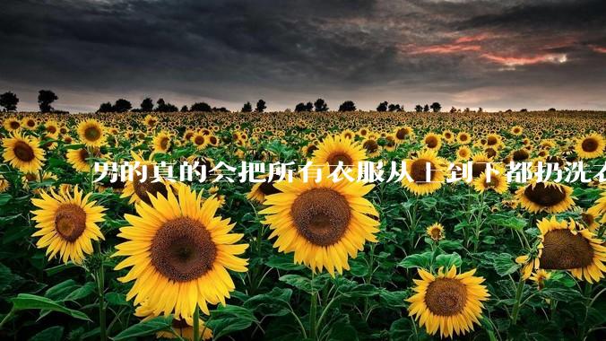 男的真的会把所有衣服从上到下都扔洗衣机吗？